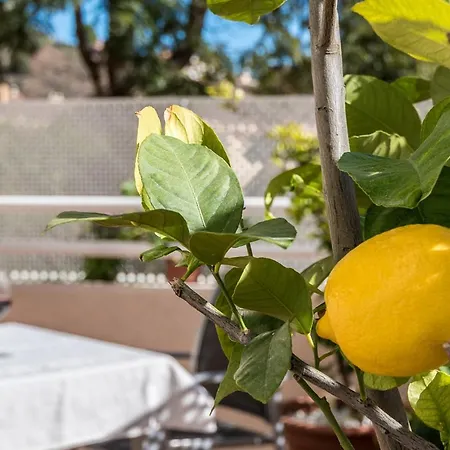 Casa Limonar Apartment Malaga